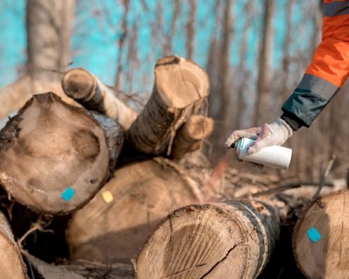 Bien stocker son bois de chauffage